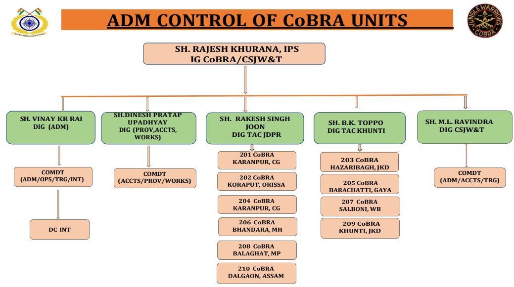 org structure